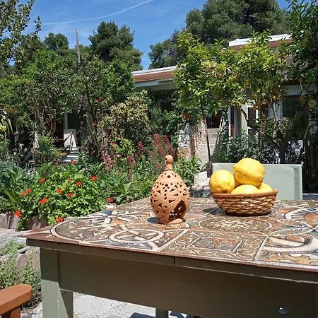 Готель Stamatia'S Garden Agnontas Екстер'єр фото