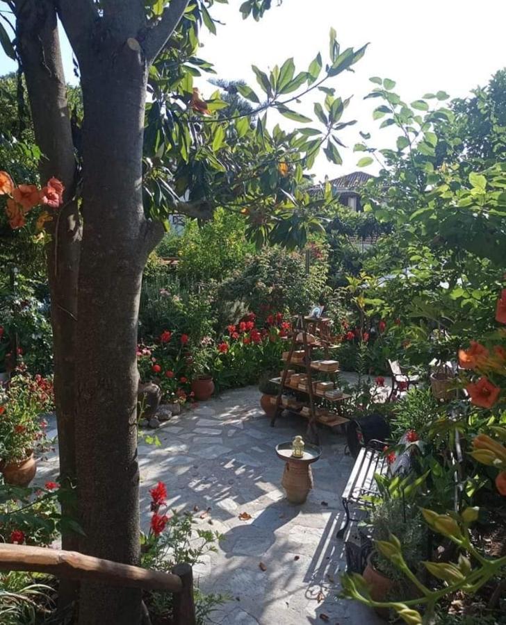 Готель Stamatia'S Garden Agnontas Екстер'єр фото