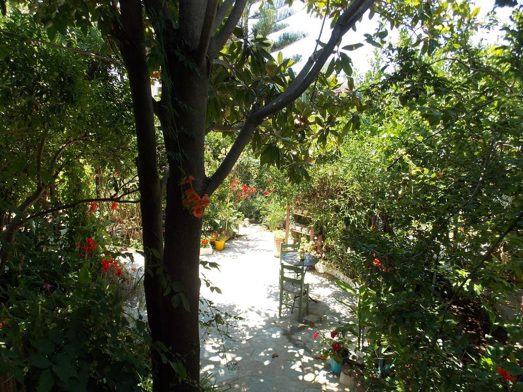 Готель Stamatia'S Garden Agnontas Екстер'єр фото