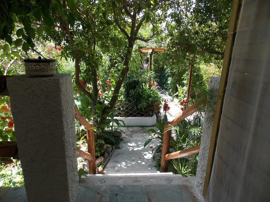 Готель Stamatia'S Garden Agnontas Екстер'єр фото