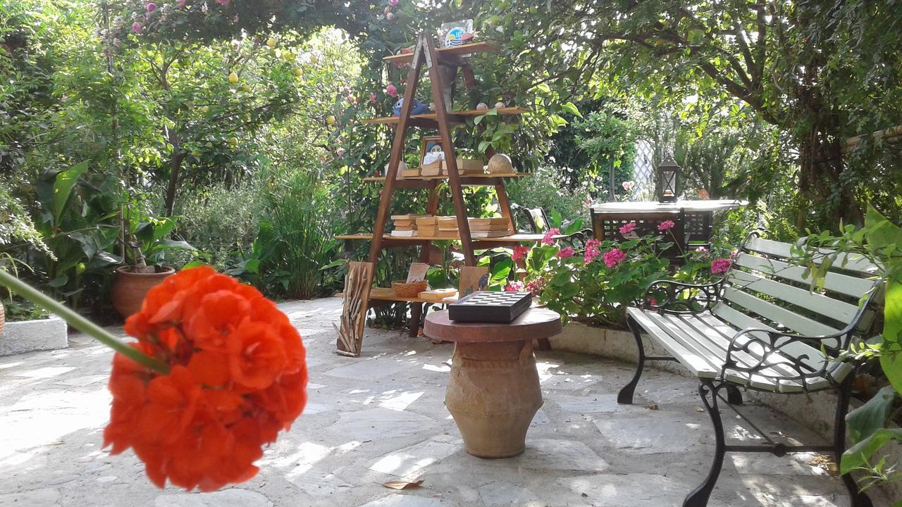 Готель Stamatia'S Garden Agnontas Екстер'єр фото
