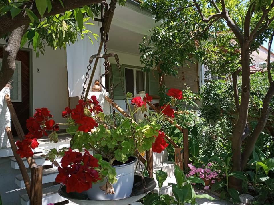 Готель Stamatia'S Garden Agnontas Екстер'єр фото