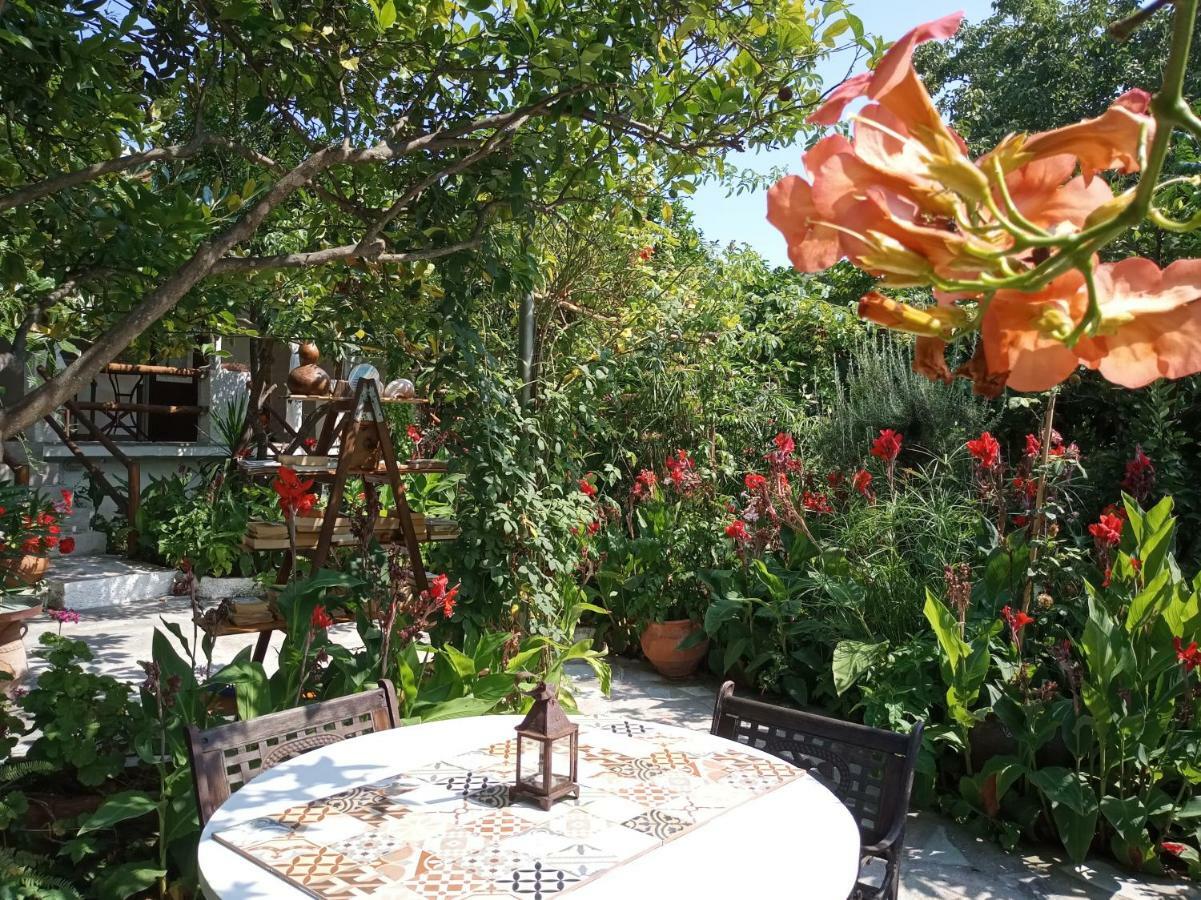 Готель Stamatia'S Garden Agnontas Екстер'єр фото
