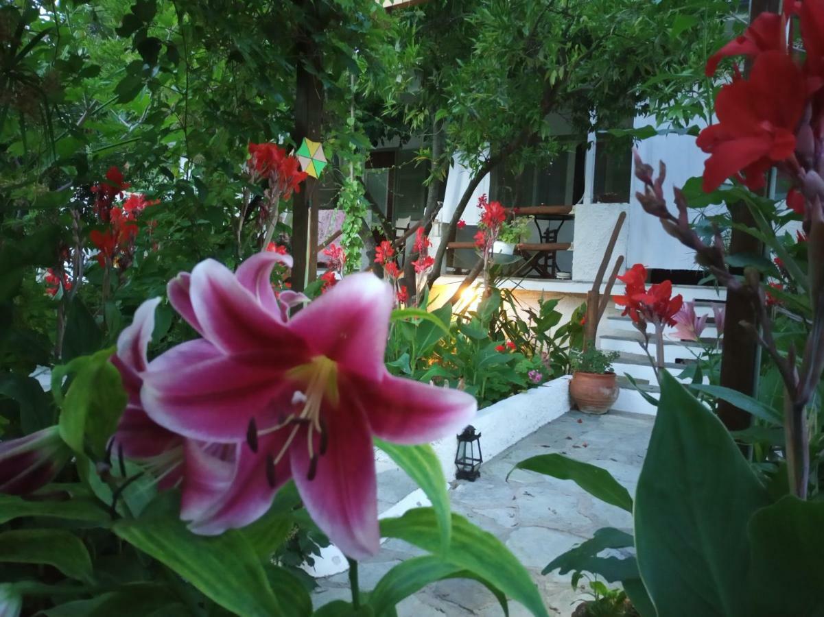 Готель Stamatia'S Garden Agnontas Екстер'єр фото