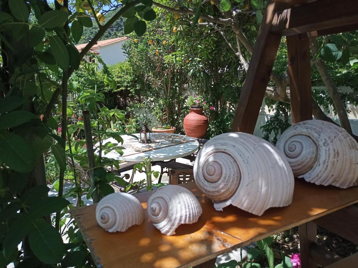 Готель Stamatia'S Garden Agnontas Екстер'єр фото