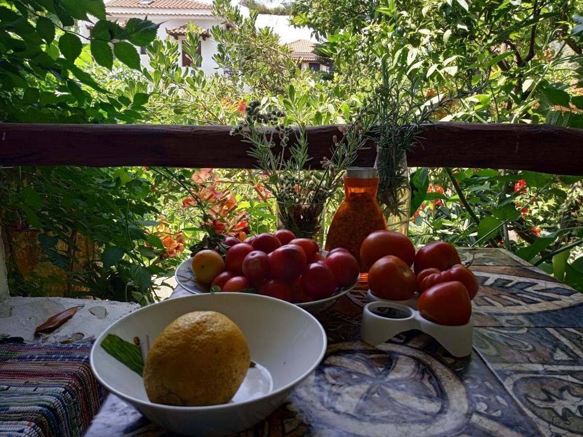 Готель Stamatia'S Garden Agnontas Екстер'єр фото